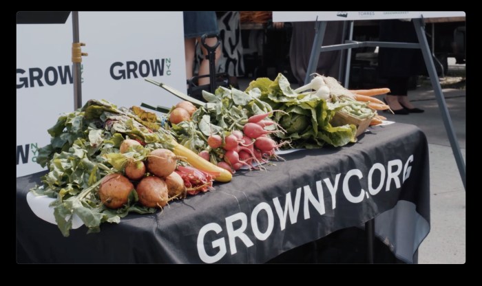 Partners like the nonprofit GrowNYC and Morgiewicz Produce help bring fresh produce to food deserts in the Bronx through green markets and are able to offer affordable, healthy food to low income families and seniors because of food assistance programs like SNAP. But historic cuts to the nutritional assistance program in the latest federal budget reconciliation bill threaten to put millions of Americans at risk of losing their benefits.